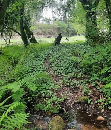 別荘 La Casita サンシェンショ