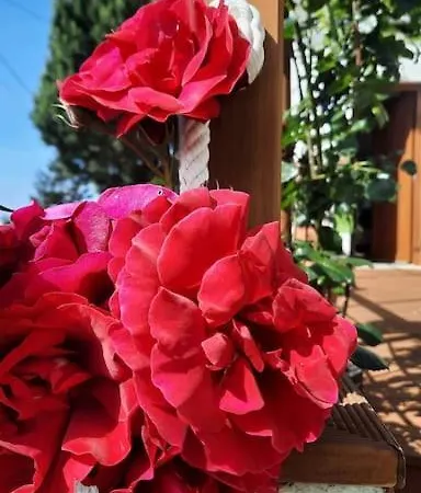 La Casita Hébergement de vacances