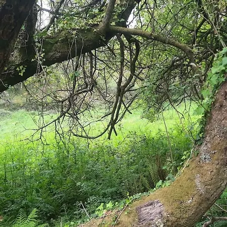 La Casita Σπίτι διακοπών *