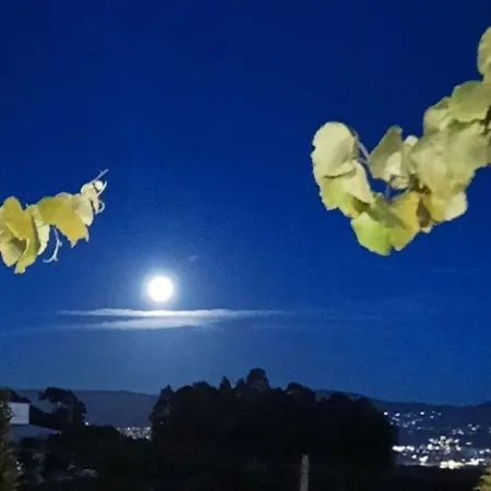 Σπίτι διακοπών La Casita